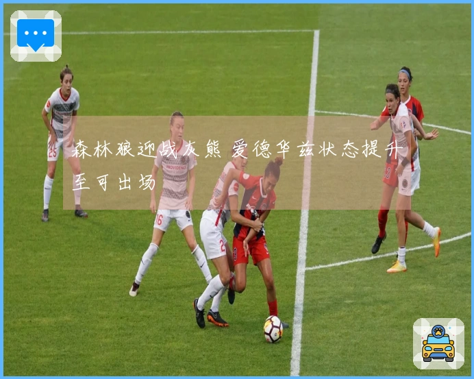 森林狼迎战灰熊 爱德华兹状态提升至可出场