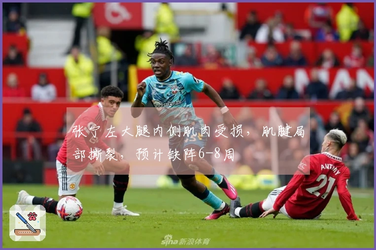 张宁左大腿内侧肌肉受损，肌腱局部撕裂，预计缺阵6-8周