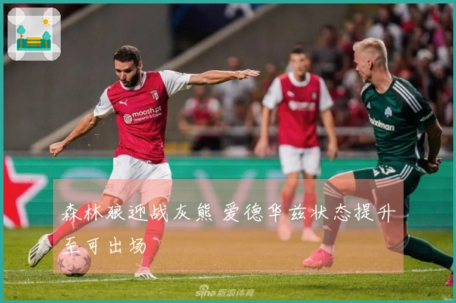 森林狼迎战灰熊 爱德华兹状态提升至可出场